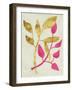 Gilt Tropic IV-Chariklia Zarris-Framed Art Print