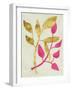 Gilt Tropic IV-Chariklia Zarris-Framed Art Print