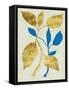 Gilt Tropic V-Chariklia Zarris-Framed Stretched Canvas