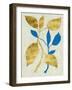 Gilt Tropic V-Chariklia Zarris-Framed Art Print