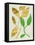 Gilt Tropic VI-Chariklia Zarris-Framed Stretched Canvas