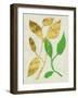 Gilt Tropic VI-Chariklia Zarris-Framed Art Print