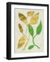 Gilt Tropic VI-Chariklia Zarris-Framed Art Print