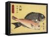 Gilthead and Tilefish, 1830-1844-Utagawa Hiroshige-Framed Stretched Canvas