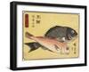 Gilthead and Tilefish, 1830-1844-Utagawa Hiroshige-Framed Giclee Print