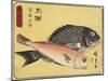 Gilthead and Tilefish, 1830-1844-Utagawa Hiroshige-Mounted Giclee Print