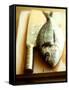 Gilthead Bream on a Wooden Board with Cleaver-Michael Paul-Framed Stretched Canvas