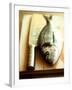 Gilthead Bream on a Wooden Board with Cleaver-Michael Paul-Framed Photographic Print