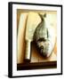 Gilthead Bream on a Wooden Board with Cleaver-Michael Paul-Framed Photographic Print