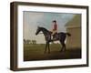 Gimcrack, with John Pratt Up, on Newmarket Heath, 1795 (Oil on Canvas)-George Stubbs-Framed Giclee Print