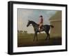 Gimcrack, with John Pratt Up, on Newmarket Heath, 1795 (Oil on Canvas)-George Stubbs-Framed Giclee Print