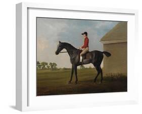 Gimcrack, with John Pratt Up, on Newmarket Heath, 1795 (Oil on Canvas)-George Stubbs-Framed Giclee Print