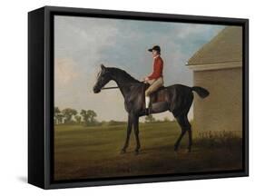 Gimcrack, with John Pratt Up, on Newmarket Heath, 1795 (Oil on Canvas)-George Stubbs-Framed Stretched Canvas