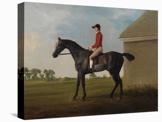 Gimcrack, with John Pratt Up, on Newmarket Heath, 1795 (Oil on Canvas)-George Stubbs-Stretched Canvas
