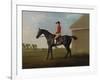 Gimcrack, with John Pratt Up, on Newmarket Heath, 1795 (Oil on Canvas)-George Stubbs-Framed Giclee Print