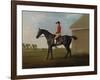 Gimcrack, with John Pratt Up, on Newmarket Heath, 1795 (Oil on Canvas)-George Stubbs-Framed Giclee Print