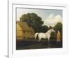 Gimcrack-George Stubbs-Framed Premium Giclee Print