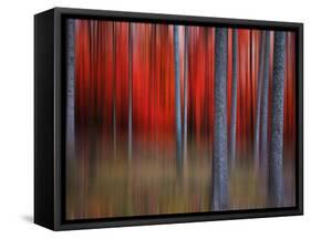 Gimick-Philippe Sainte-Laudy-Framed Stretched Canvas