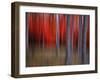 Gimick-Philippe Sainte-Laudy-Framed Premium Photographic Print