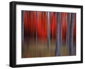 Gimick-Philippe Sainte-Laudy-Framed Photographic Print