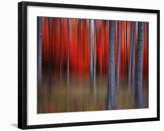 Gimick-Philippe Sainte-Laudy-Framed Photographic Print