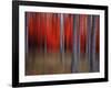 Gimick-Philippe Sainte-Laudy-Framed Photographic Print