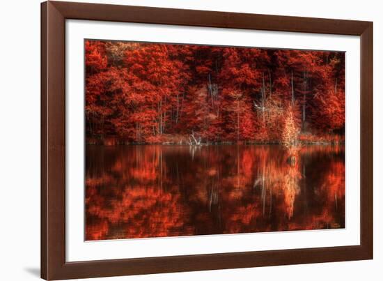 Gimme Some Soul-Philippe Sainte-Laudy-Framed Photographic Print