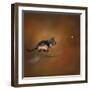 Gimme That Ball German Shepherd-Jai Johnson-Framed Giclee Print