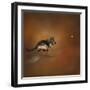 Gimme That Ball German Shepherd-Jai Johnson-Framed Giclee Print