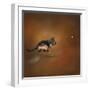 Gimme That Ball German Shepherd-Jai Johnson-Framed Giclee Print