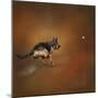 Gimme That Ball German Shepherd-Jai Johnson-Mounted Giclee Print