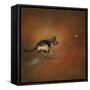 Gimme That Ball German Shepherd-Jai Johnson-Framed Stretched Canvas