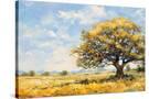 Stretched Canvas