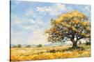 Stretched Canvas