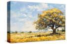Stretched Canvas