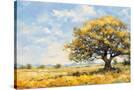 Stretched Canvas