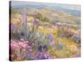 Stretched Canvas