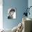 Gina Lollobrigida, 1955-null-Photo displayed on a wall