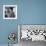 Gina Lollobrigida at the Table of a Bar-null-Framed Photographic Print displayed on a wall