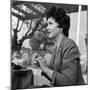 Gina Lollobrigida at the Table of a Bar-null-Mounted Photographic Print
