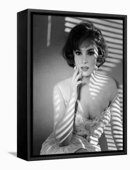 Gina Lollobrigida, Early 1960s-null-Framed Stretched Canvas