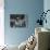 Gina Lollobrigida Walking Down Street-Peter Stackpole-Premium Photographic Print displayed on a wall