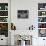 Gina Lollobrigida Walking Down Street-Peter Stackpole-Premium Photographic Print displayed on a wall
