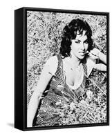 Gina Lollobrigida-null-Framed Stretched Canvas