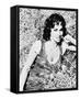 Gina Lollobrigida-null-Framed Stretched Canvas