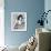 Gina Lollobrigida-null-Framed Photo displayed on a wall