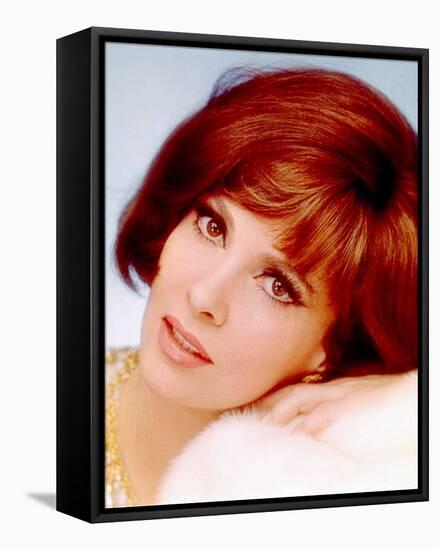 Gina Lollobrigida-null-Framed Stretched Canvas