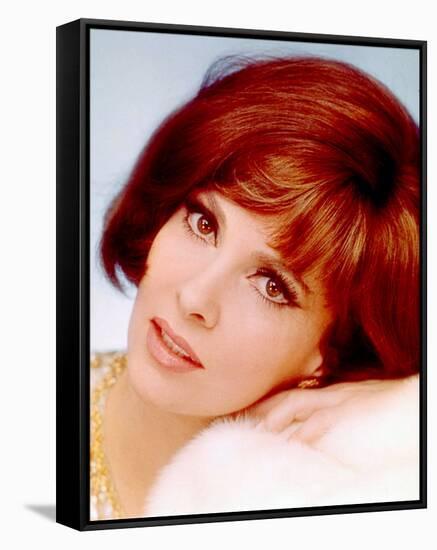 Gina Lollobrigida-null-Framed Stretched Canvas