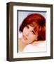 Gina Lollobrigida-null-Framed Photo