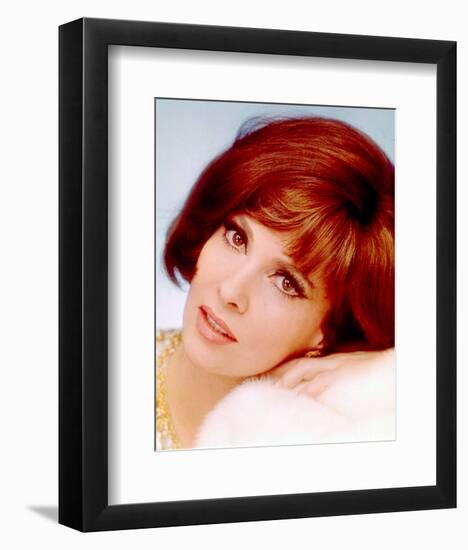 Gina Lollobrigida-null-Framed Photo